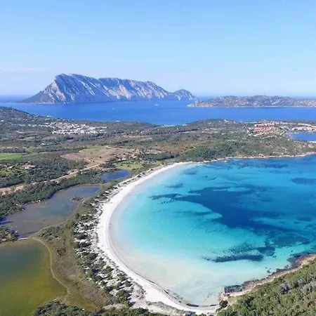 La Puppusedda Lejlighed